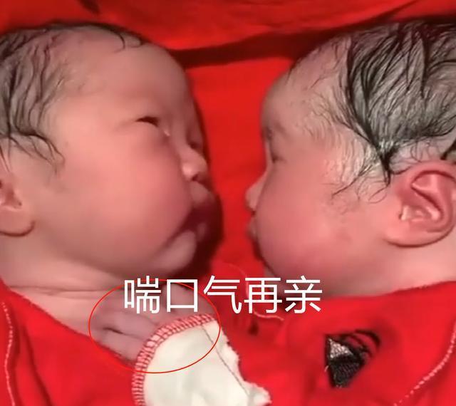 孩子@龙凤胎兄妹刚出生就一直亲，分都分不开，网友：上辈子一定是爱人