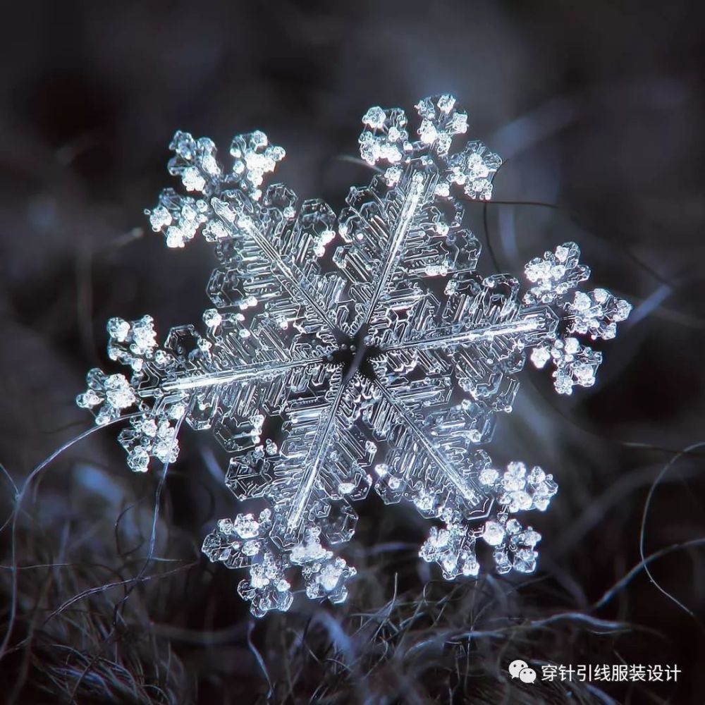 圖案| 雪花——大自然的幾何作品