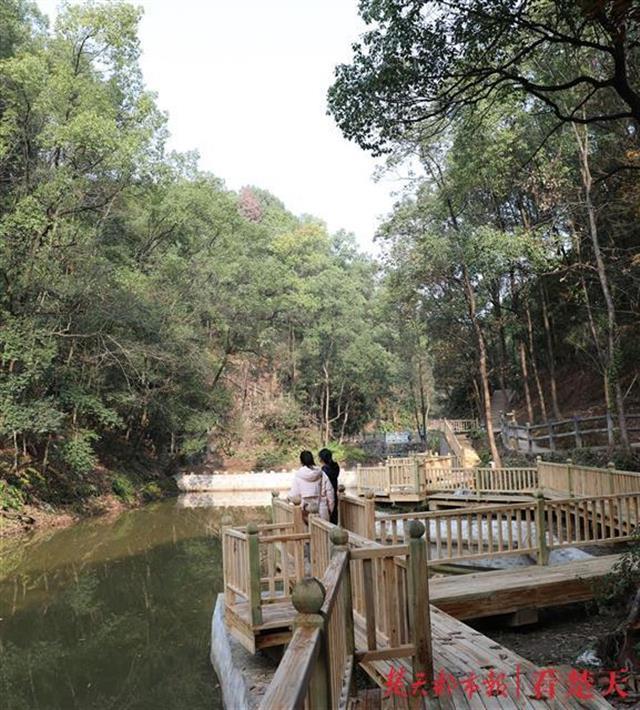 環山繞水有步道綠樹成蔭樂悠悠恩施鳳凰山公園顏值爆表驚豔市民