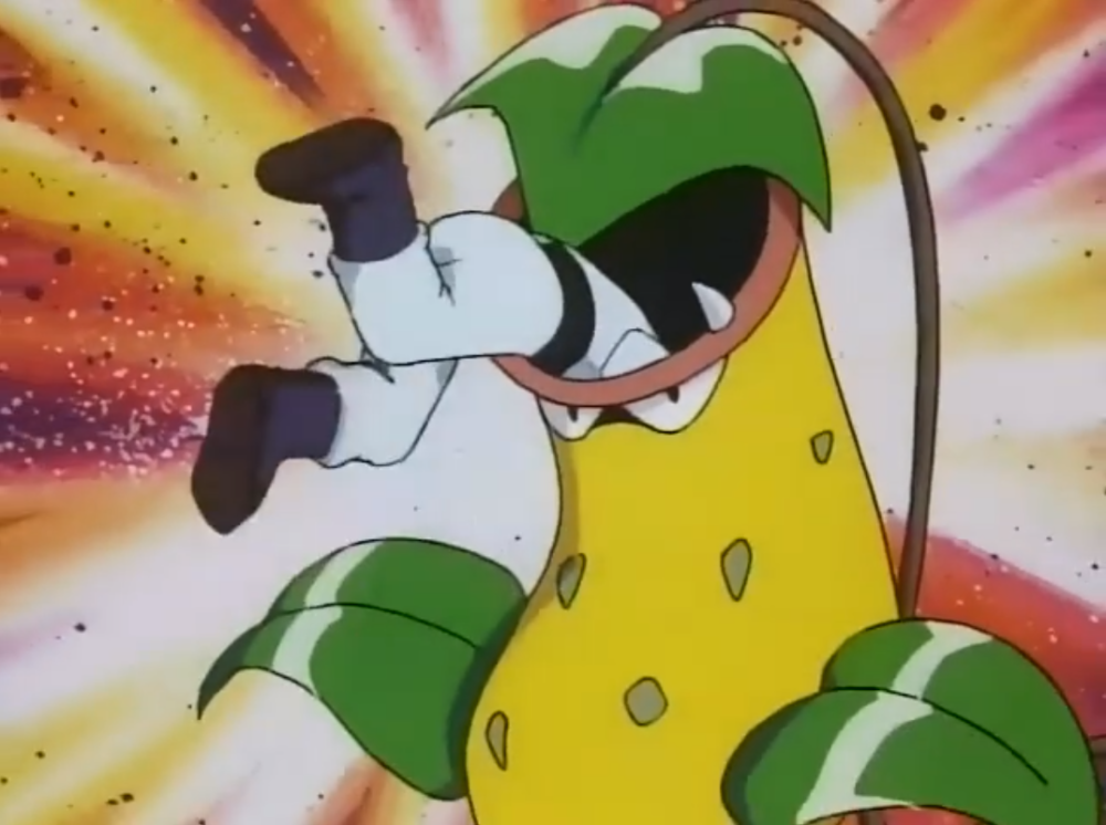 最喜欢小次郎的宝可梦它们的表达方式让小次郎痛并快乐着