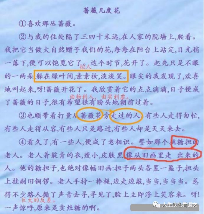 中学语文 散文阅读重点词句的含义和作用 腾讯新闻