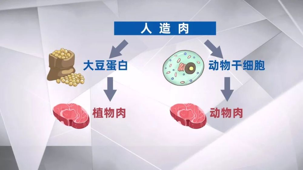 而目前能在市场上买到的"人造肉食品"大多都是口感类似于真肉的植物