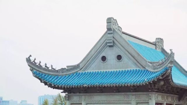 武汉这三个区好消息爆棚！三甲医院、中小学、公园…都安排上了！(图5)