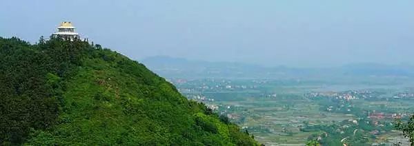 武汉这三个区好消息爆棚！三甲医院、中小学、公园…都安排上了！(图8)