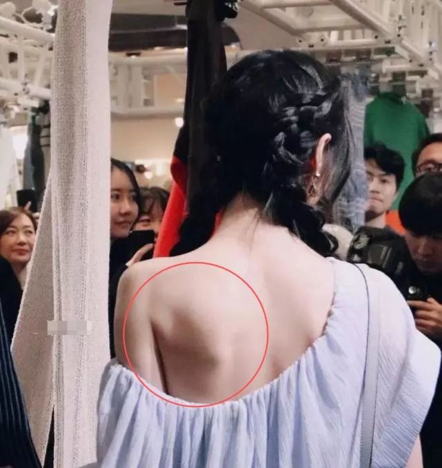 郑爽的蝴蝶背被夸艳压全场,祸害全身肌肉的病态审美还拿出来吹?