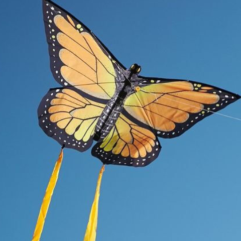 情感测试4个风筝哪个最漂亮测你暗恋的ta是否喜欢你