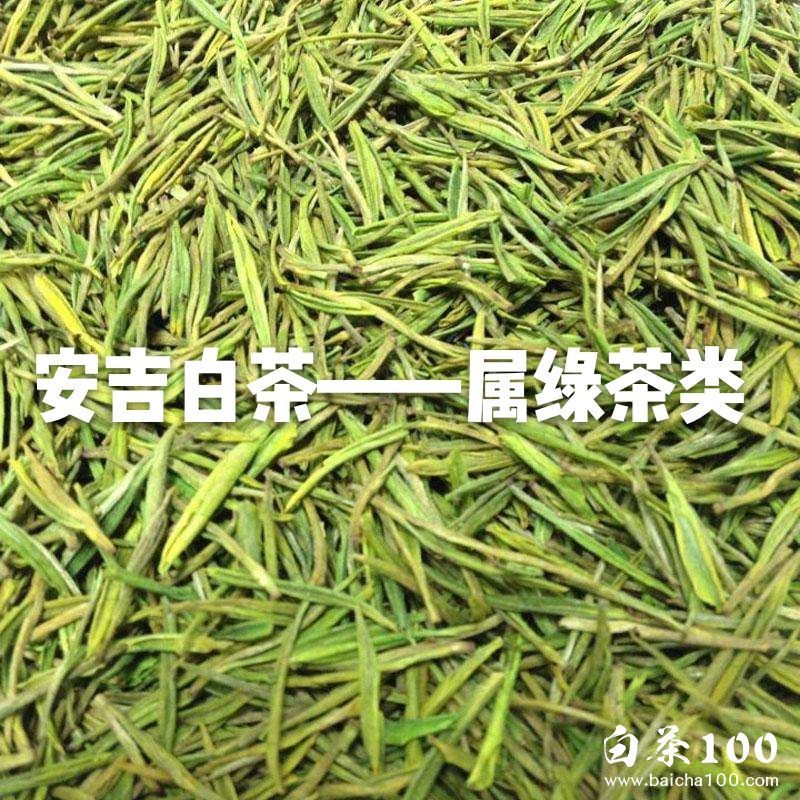 安吉白茶是白茶嗎,價格貴不貴