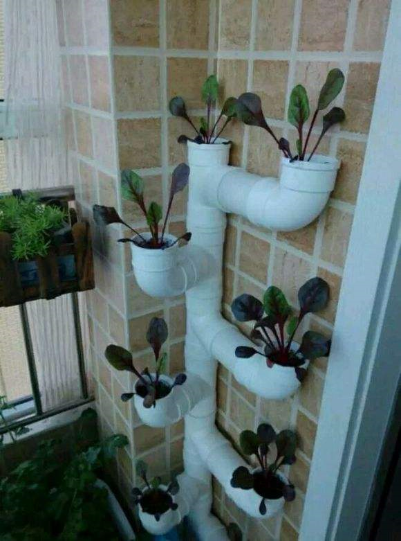 工地捡几根pvc管,几下就拼出大花架!