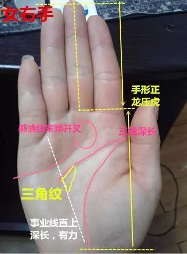 手相3种三角纹 有一种小财不断 两种大财常有 三种富贵无边 腾讯新闻