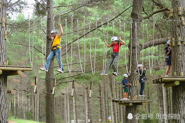 面向不同的用戶群,歷奇探險叢林穿越設置了兒童線,親子線,成人線等不