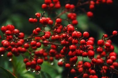 玛利亚 12月17日至23日星座运势 爱情也需要理性 腾讯新闻