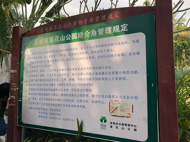 90后深圳单身小伙去公园相亲角,探寻最真实的公园相亲到底是怎么样的