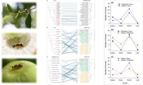物种间的相互作用及其协同进化模式研究获进展