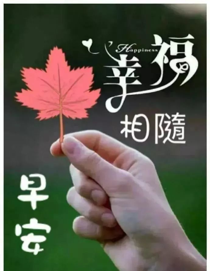最新漂亮群发早上好表情图片 早上好动态美女图片带字美好的祝福献给