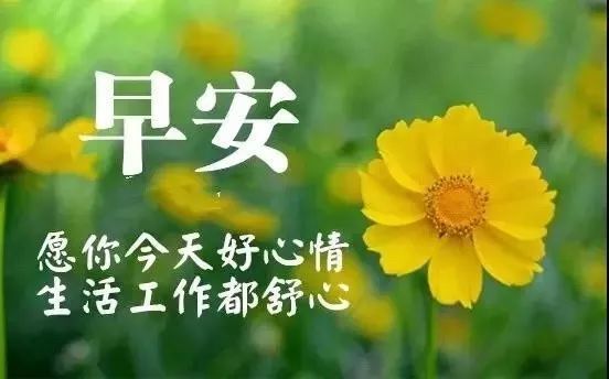 早安語錄正能量圖片句子 早安勵志朋友圈語錄圖片