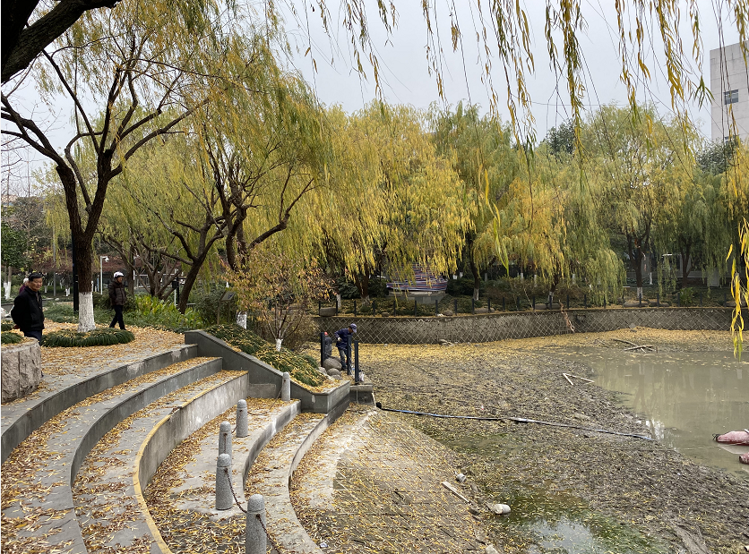 游泳爱好者的春天杭州正试点开放艮山运河公园自然水域