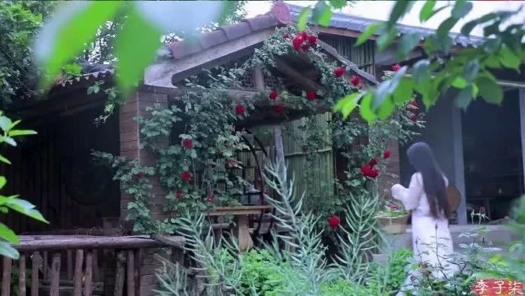 李子柒平武大山生活,这些角度可以证明