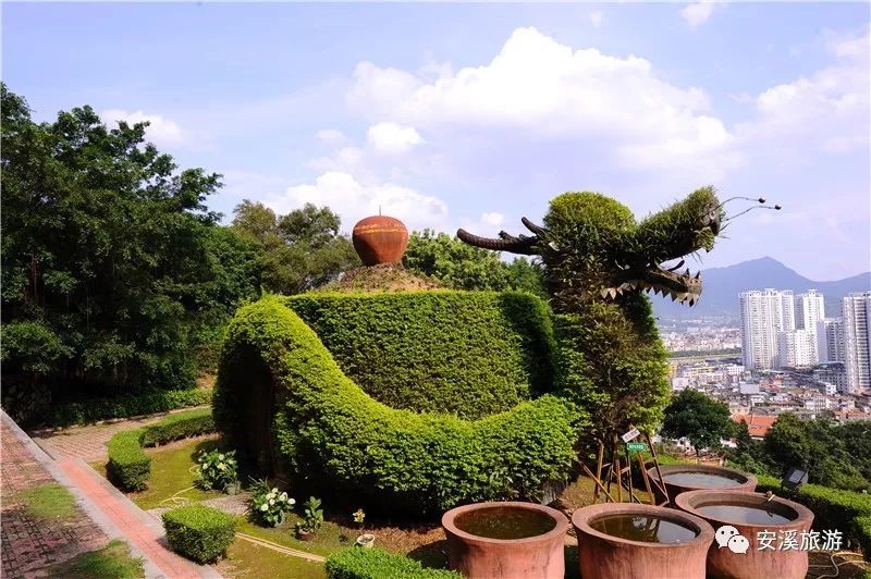 景區內還擁有省級鳳山森林公園,茶葉大觀園,孔子龕,涵虛閣,明德樓,廖