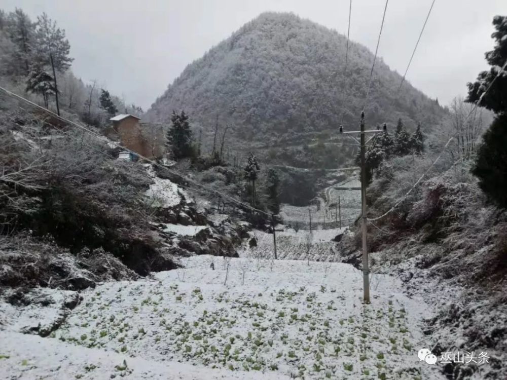 小编获悉 今天巫山海拔近900米以上的地方都下雪了 邓家乡,笃坪乡