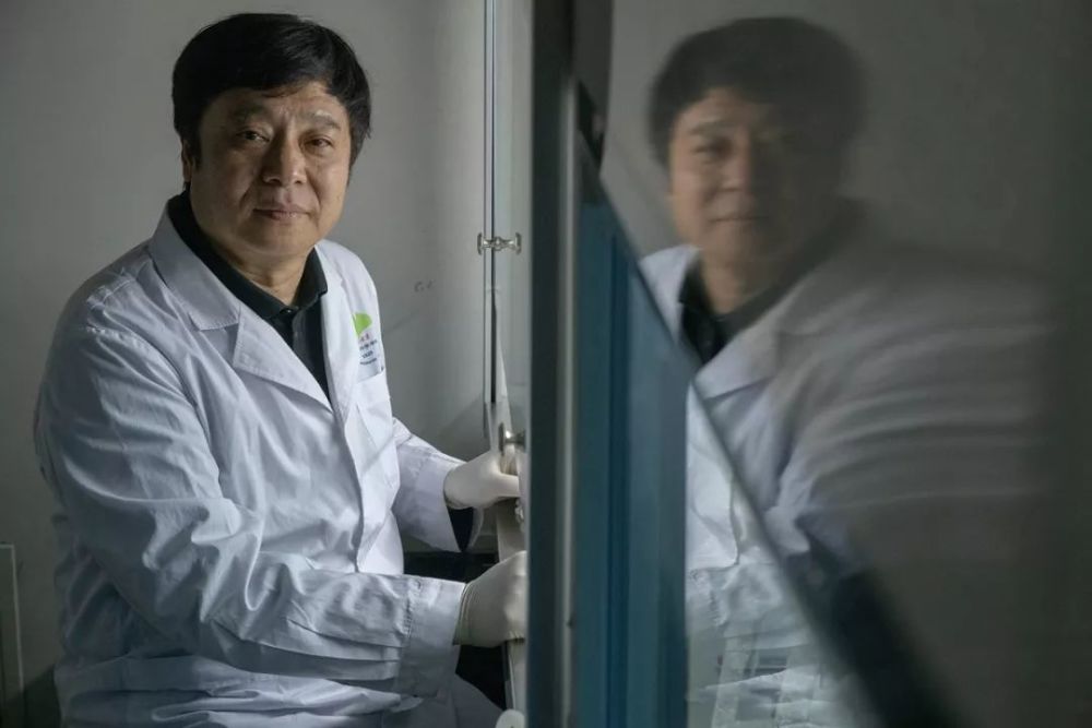 全球首例艾滋病治愈患者癌症复发-WordPress极简博客