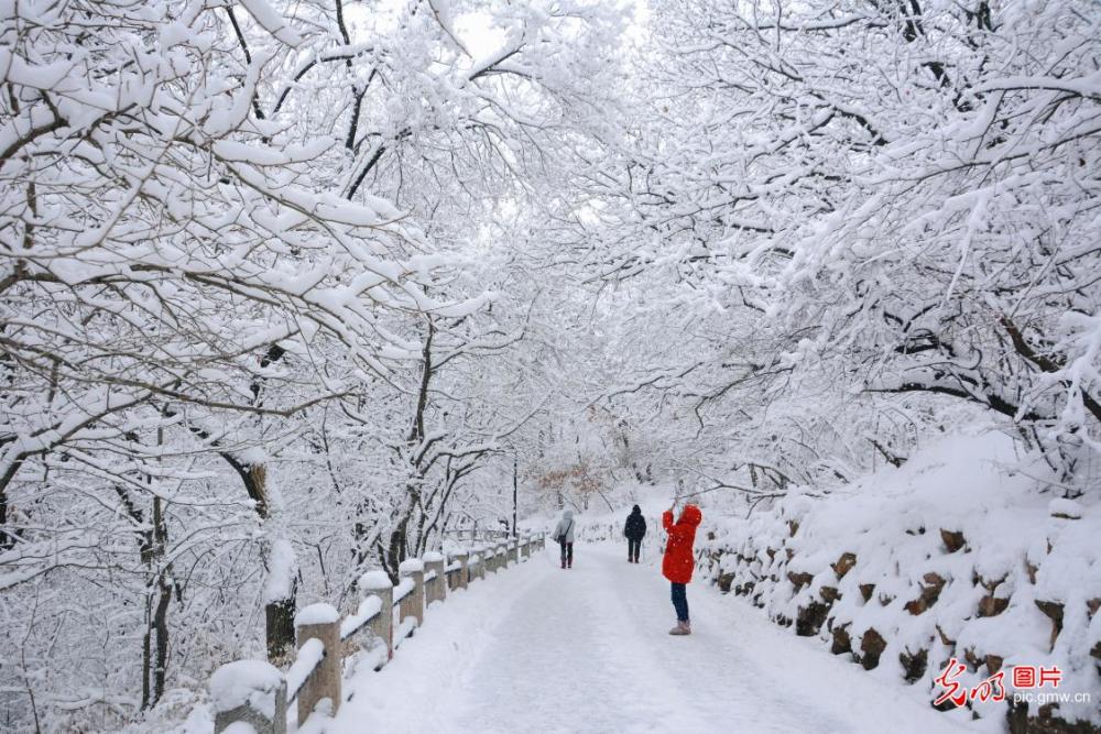 吉林雪景图片 北山图片