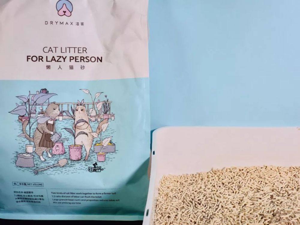 劣质猫砂对猫的危害 比毒猫粮还大 腾讯新闻