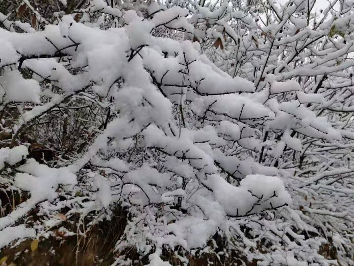 看看是不是趕腳好激動!媽媽小編朋友圈的雪吧!