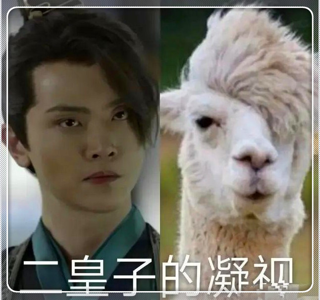 庆余年演员撞脸动物,范闲神似二哈,看见羊驼:二皇子是你吗