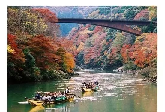 岚山保津峡游船看尽两岸层林浸染的红叶风光 游动的新体验 腾讯新闻