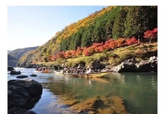 岚山保津峡游船看尽两岸层林浸染的红叶风光 游动的新体验 腾讯新闻