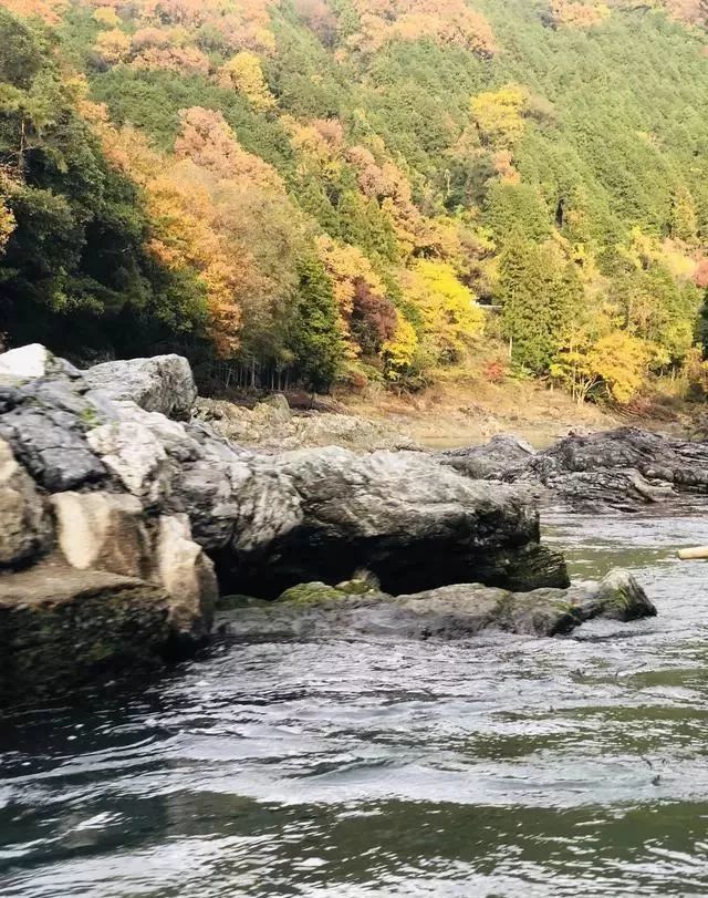 岚山保津峡游船看尽两岸层林浸染的红叶风光 游动的新体验 腾讯新闻