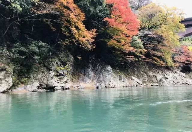 岚山保津峡游船看尽两岸层林浸染的红叶风光 游动的新体验 腾讯新闻