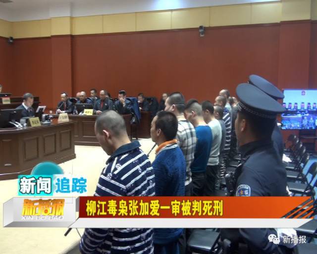 新闻追踪│柳江毒枭张加爱一审被判死刑