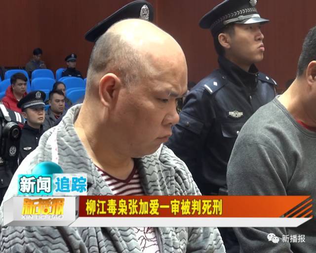 新闻追踪│柳江毒枭张加爱一审被判死刑