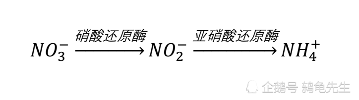 水草能够代替硝化细菌处理氨氮吗 完全可以 并且水草去除氨氮效果更好 腾讯新闻