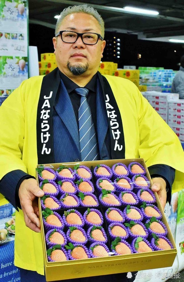 日本天价草莓1颗900元 什么草莓这么贵（图）中国公司一次买下108颗 称“买回去观赏”