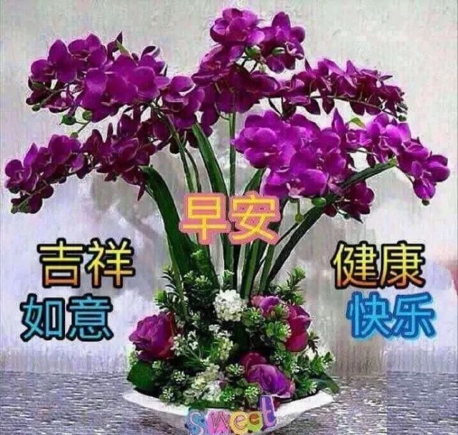 清早問候大家早上好的早安祝福語動態表情圖片最新早晨好問候祝福語