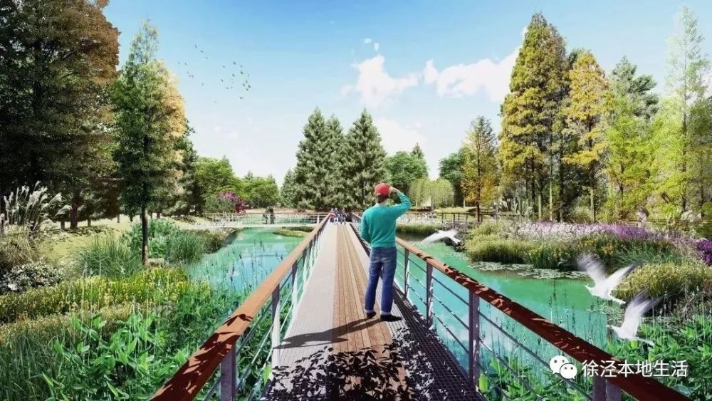 徐泾蟠龙天地公园效果图曝光靓