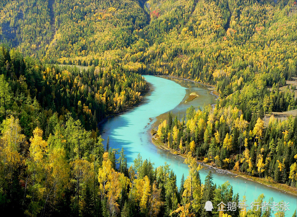 中国最美湖泊之一,十大秋景之首,阿勒泰喀纳斯,真有水怪么?
