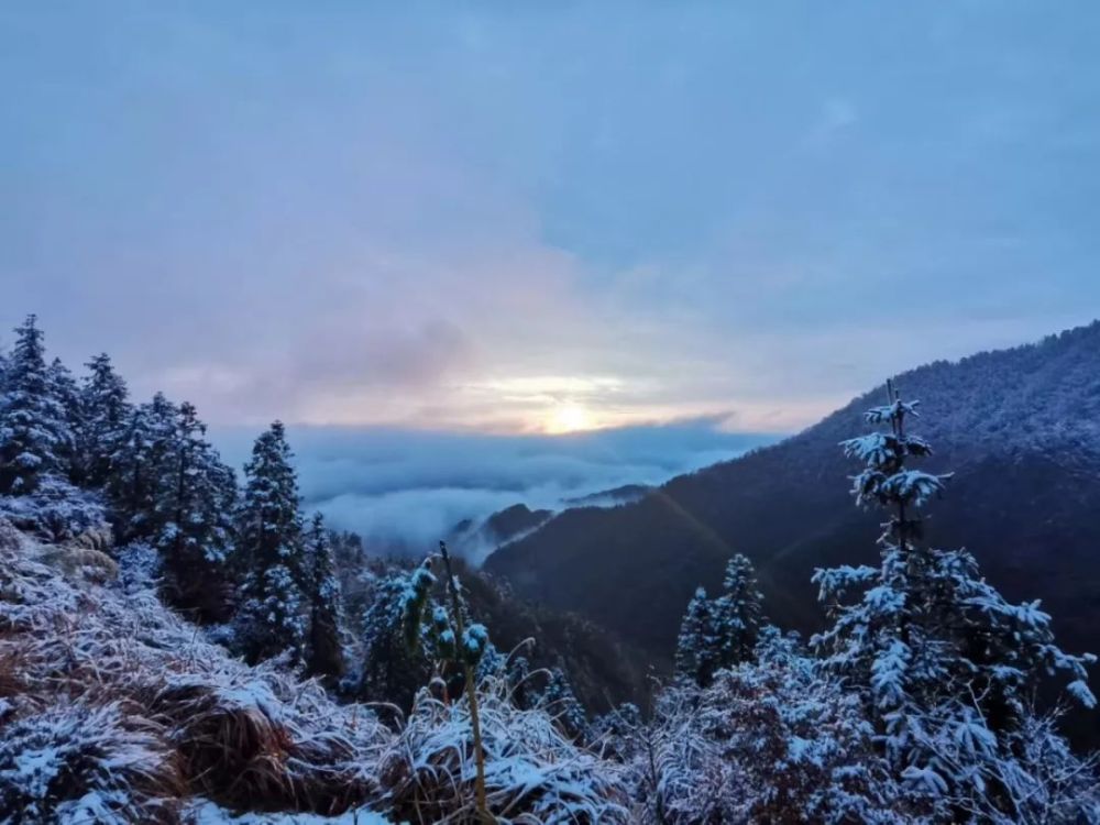 江西南昌梅岭洗药湖下雪了 拍摄:洗药湖管理处 雄鹰