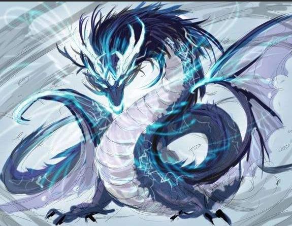 最开始刘锋的武魂是白龙枪,可以经过刘锋的努力修炼,意志上的墨莲,让