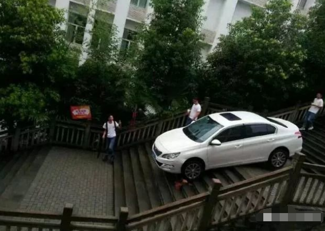 女司机开车在楼梯上穿行最后委屈道导航让我这么走的