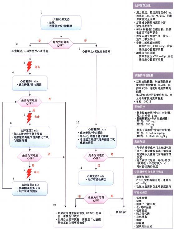 2019年心脏骤停基层诊疗指南,要点一览