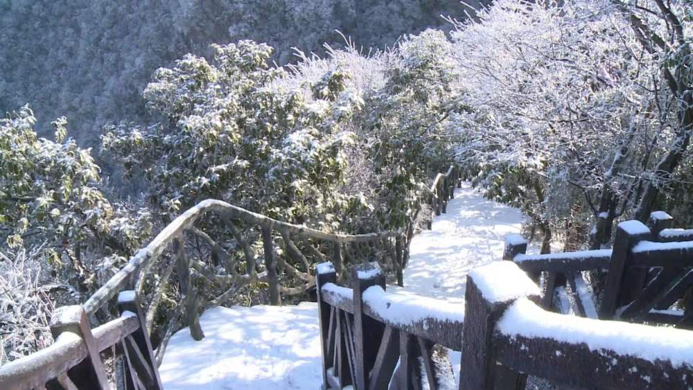 19日上午,經過一夜降雪的張家界天門山國家森林公園雪景如畫,群峰被