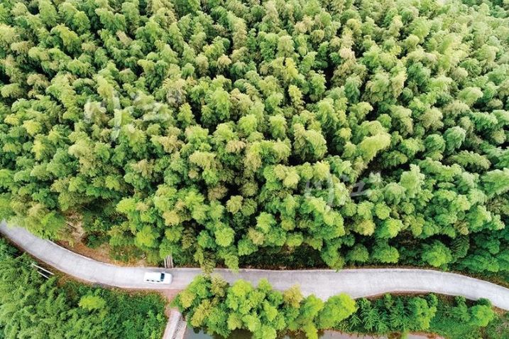 泸州白节镇入选!四川首批"2019特色气候小镇"出炉