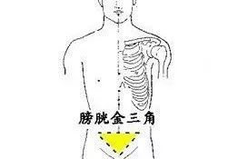 5个致病三角区养好了百病难扰现在知道还不晚