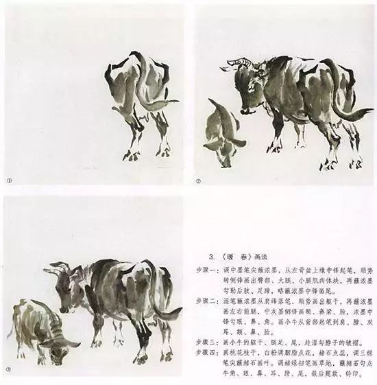 国画教程牛的画法