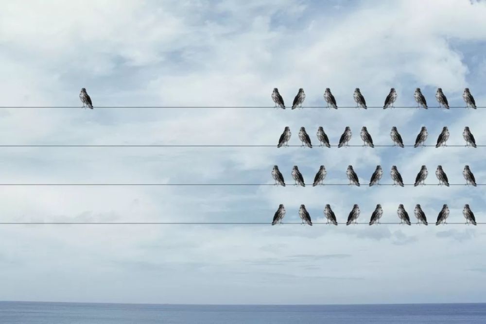 鹧鸪天|42句绝美诗词，一读就让人惊叹：哇，好温柔呀！