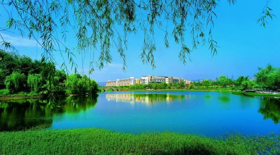 重庆市大学最新排行_重庆大学关于公示2020年强基计划录取标准的通知