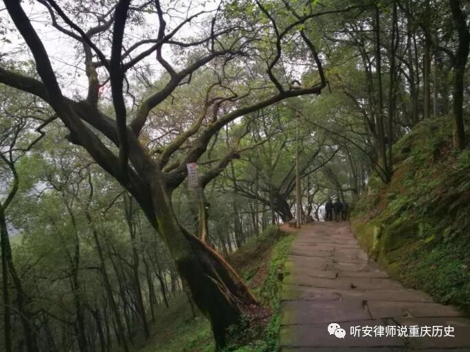 听安律师说重庆历史巴南区界石镇